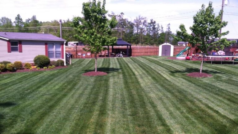 Hiring A Landscape Maintenance Company In Trinity, North Carolina