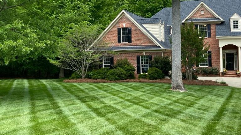 Landscaping Tips To Help Sell Your Trinity, North Carolina Home