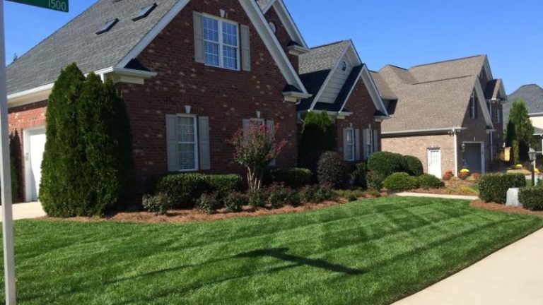 Affordable Front Yard Landscaping Projects To Improve Your Curb Appeal