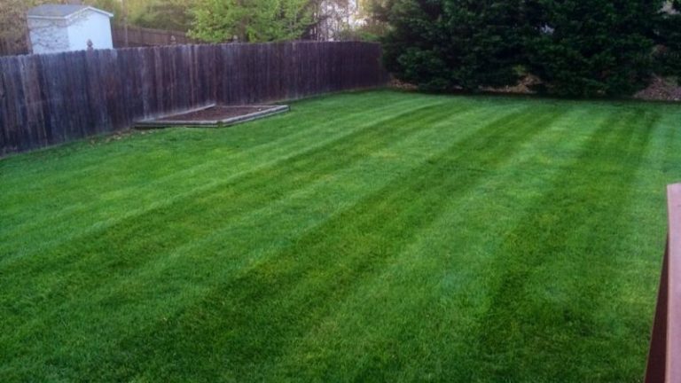 Tips For Landscaping In A Small Backyard