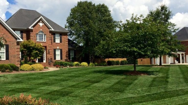Who Is The Best Lawn Care Company In Trinity, North Carolina?