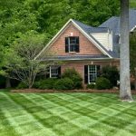 landscape maintenance services