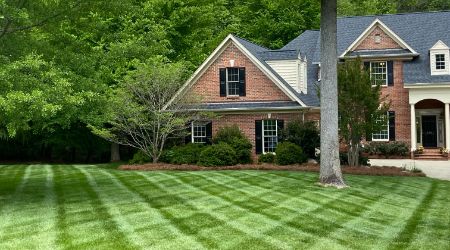 landscape maintenance services