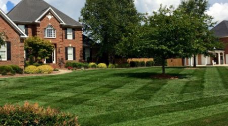 lawn care services